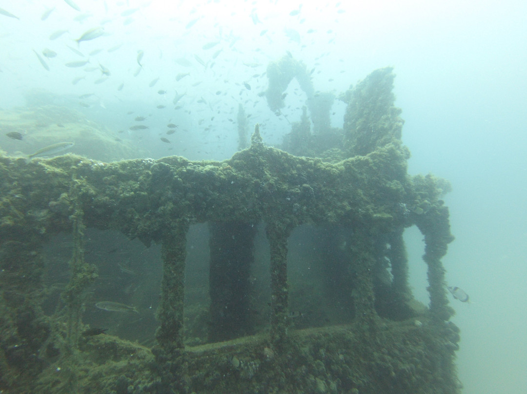 Starfish Diving Center-弗萨必去景点