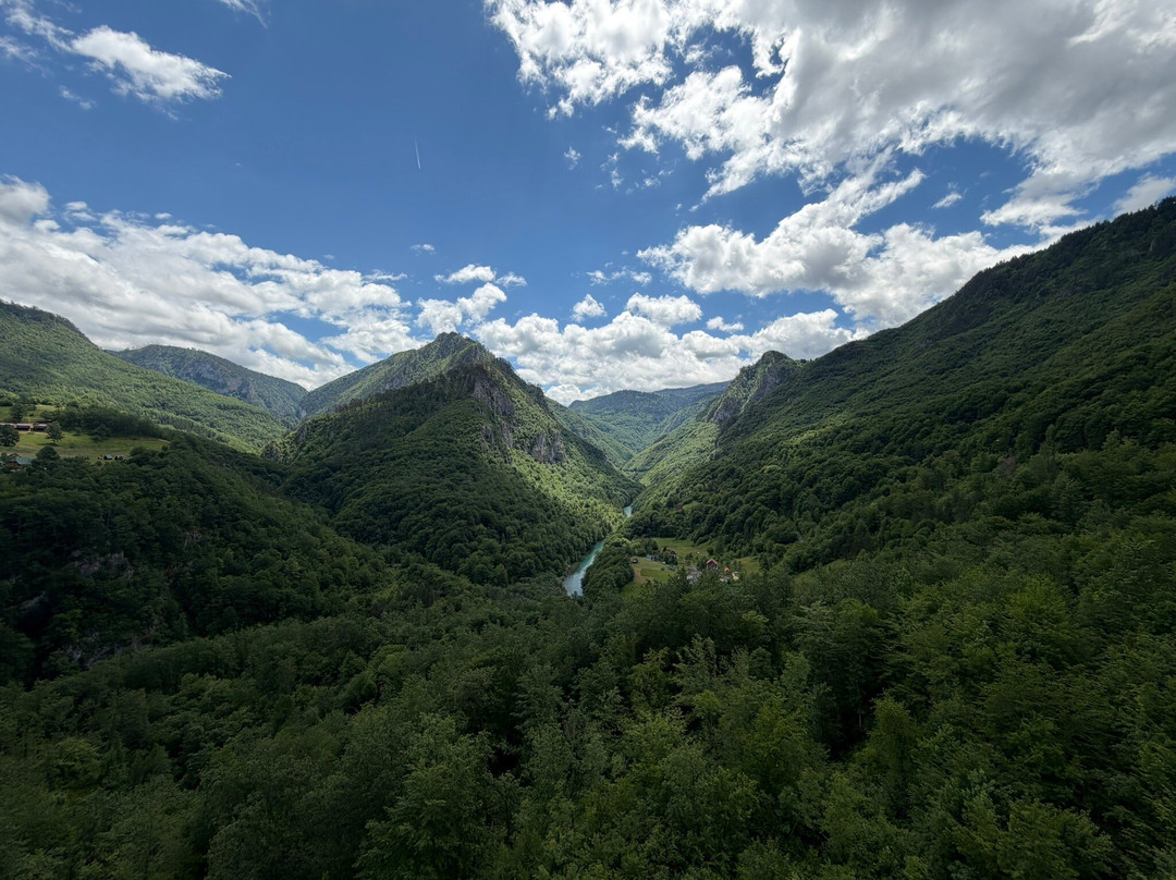 Tara River Canyon-Dobrilovina必去景点
