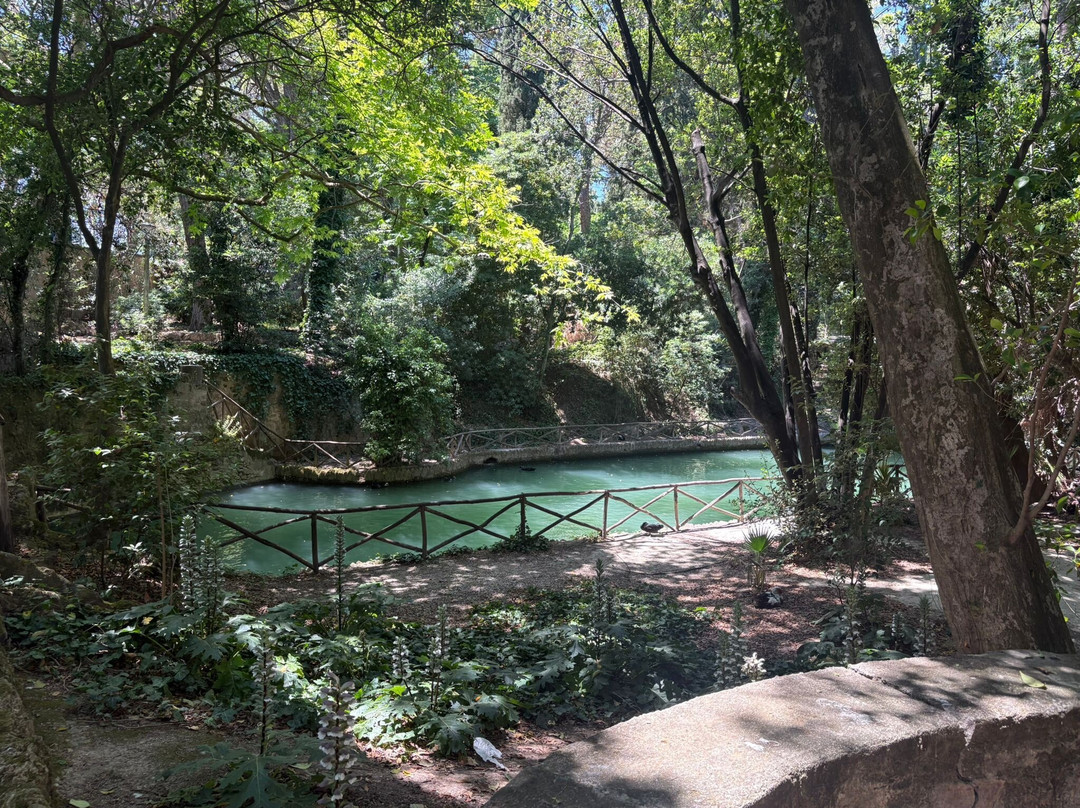 Rodini Park-罗德斯必去景点