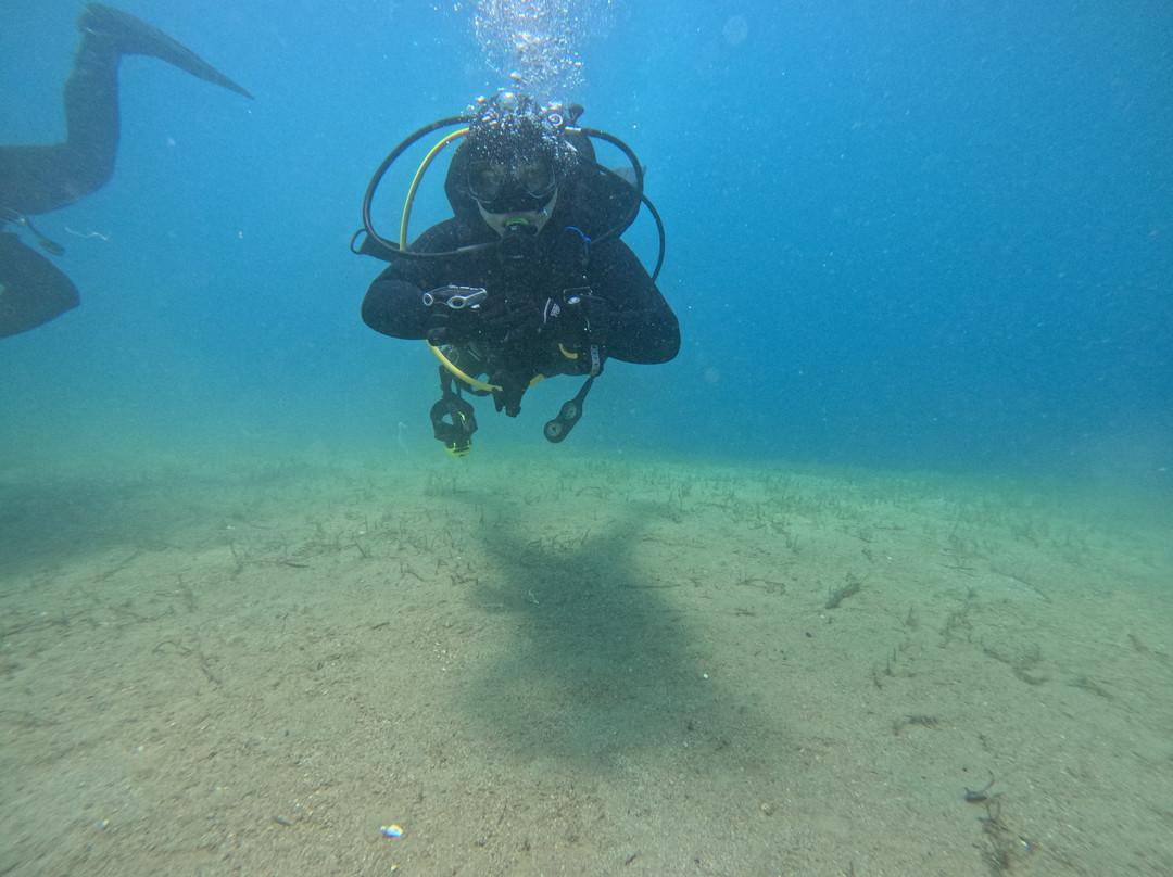 Zoumbosub Diving Center-沃洛斯必去景点