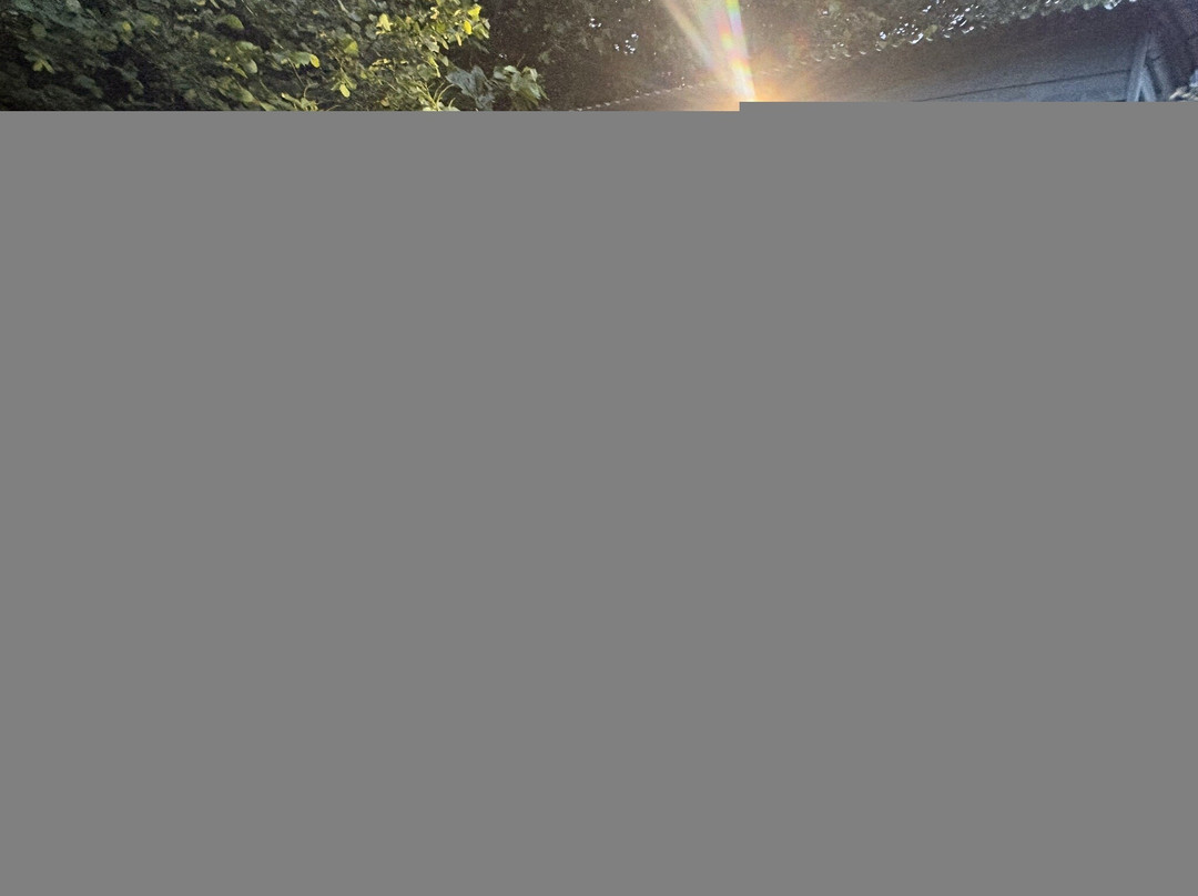 Hopgarden Glamping and Camping