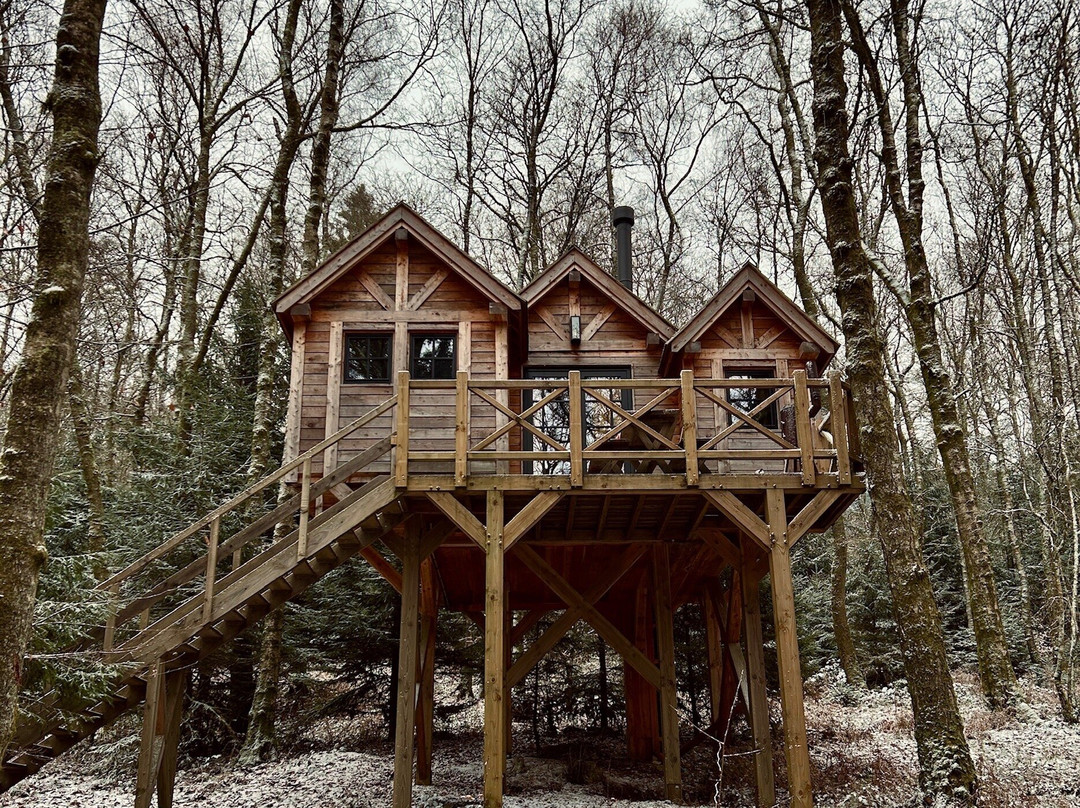 Les Cabanes des Dolimarts