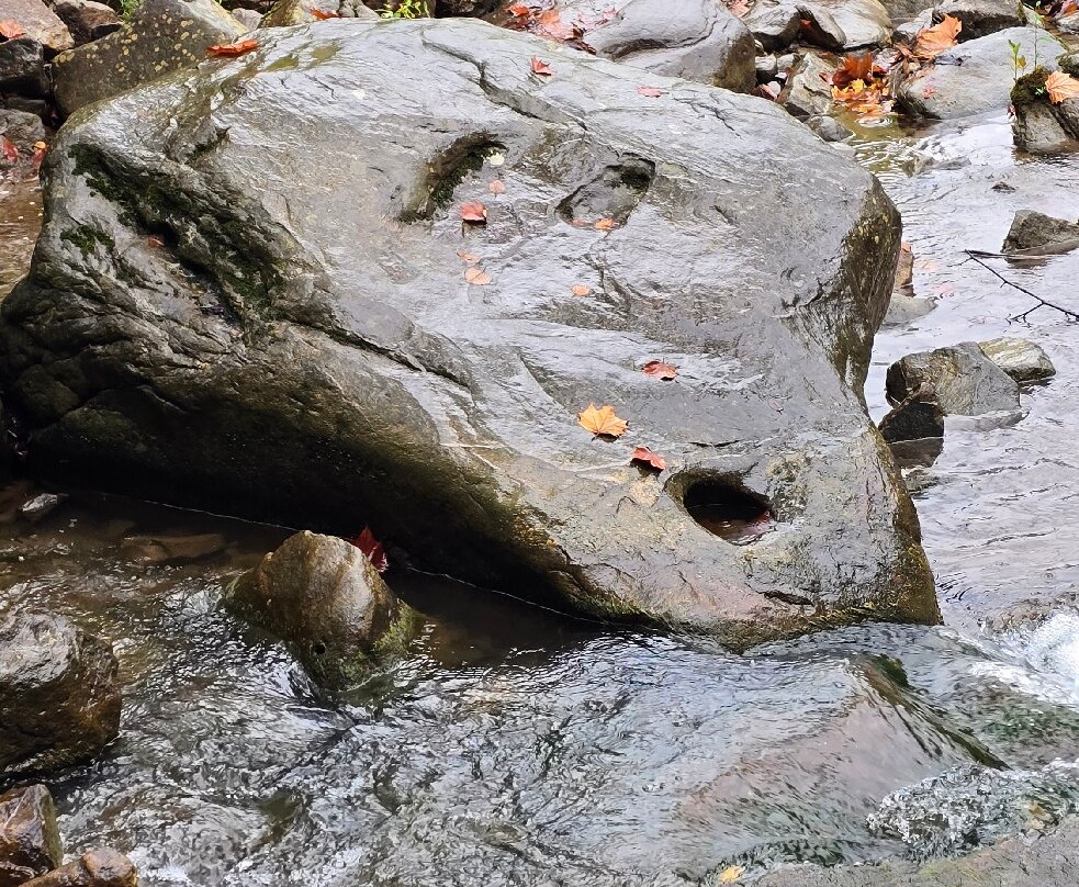 New River Gorge Bridge-Fayetteville必去景点