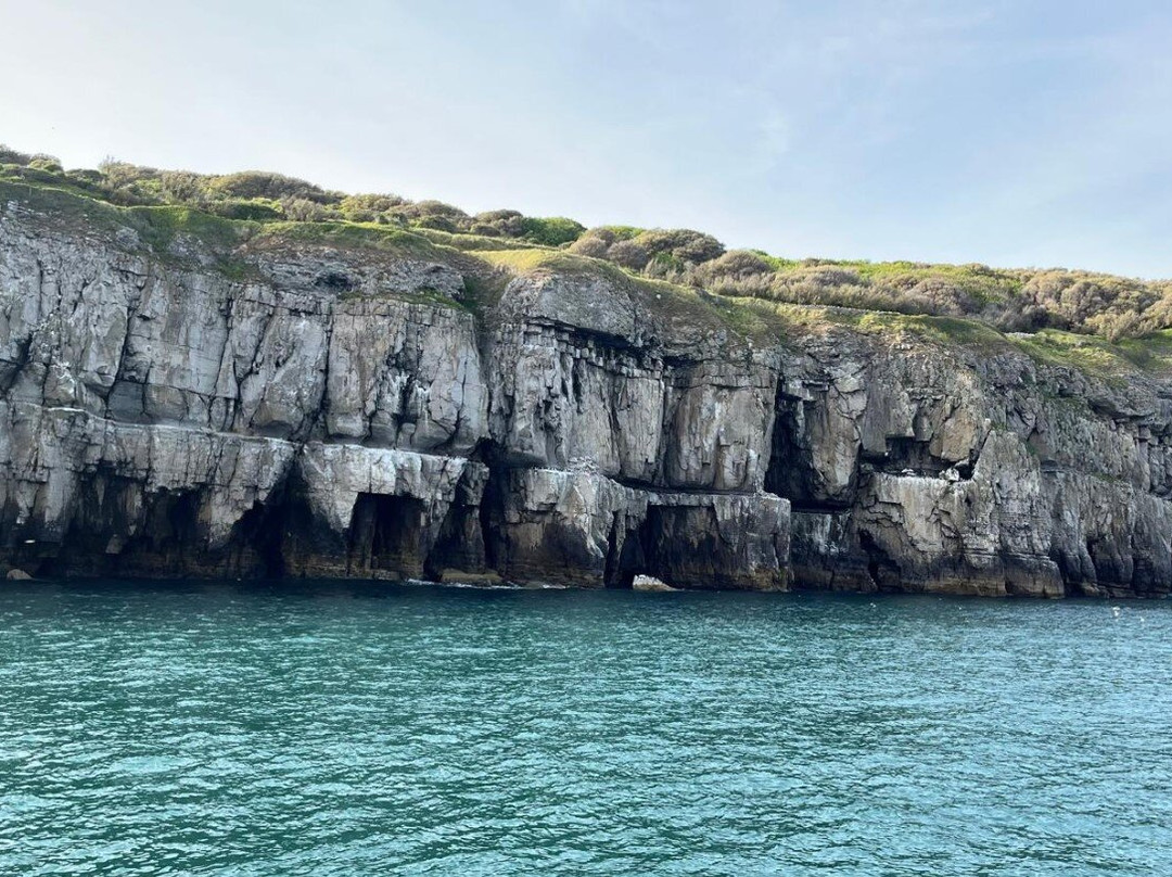 Birds Of Poole Harbour Events-普尔必去景点
