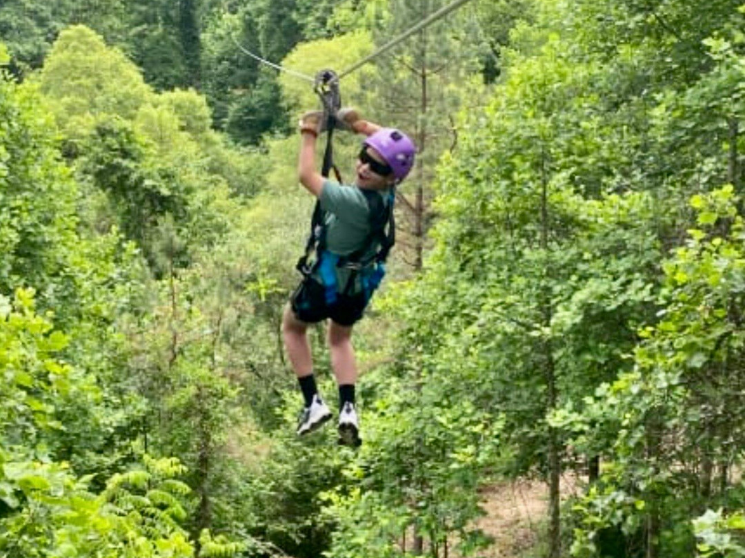 Navitat Canopy Adventures-Barnardsville必去景点