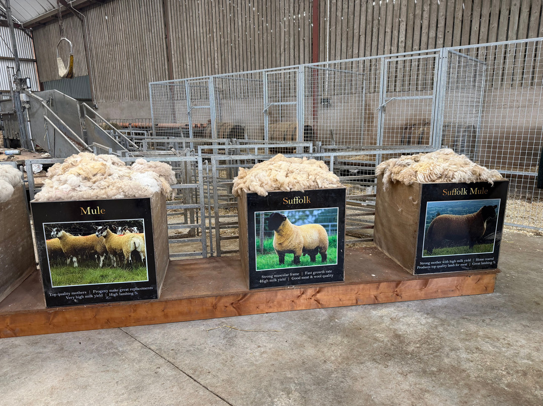 Glenshane Country Farm