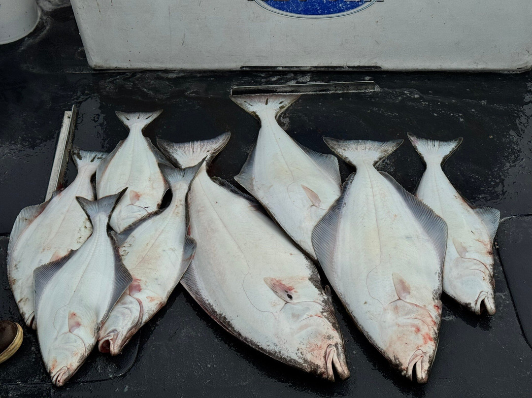 North Country Charters-荷马必去景点