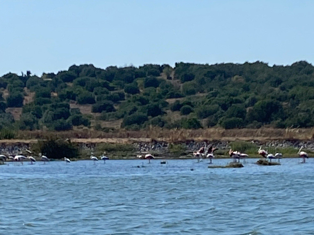Ferragudo Boat Trips-费拉古多必去景点