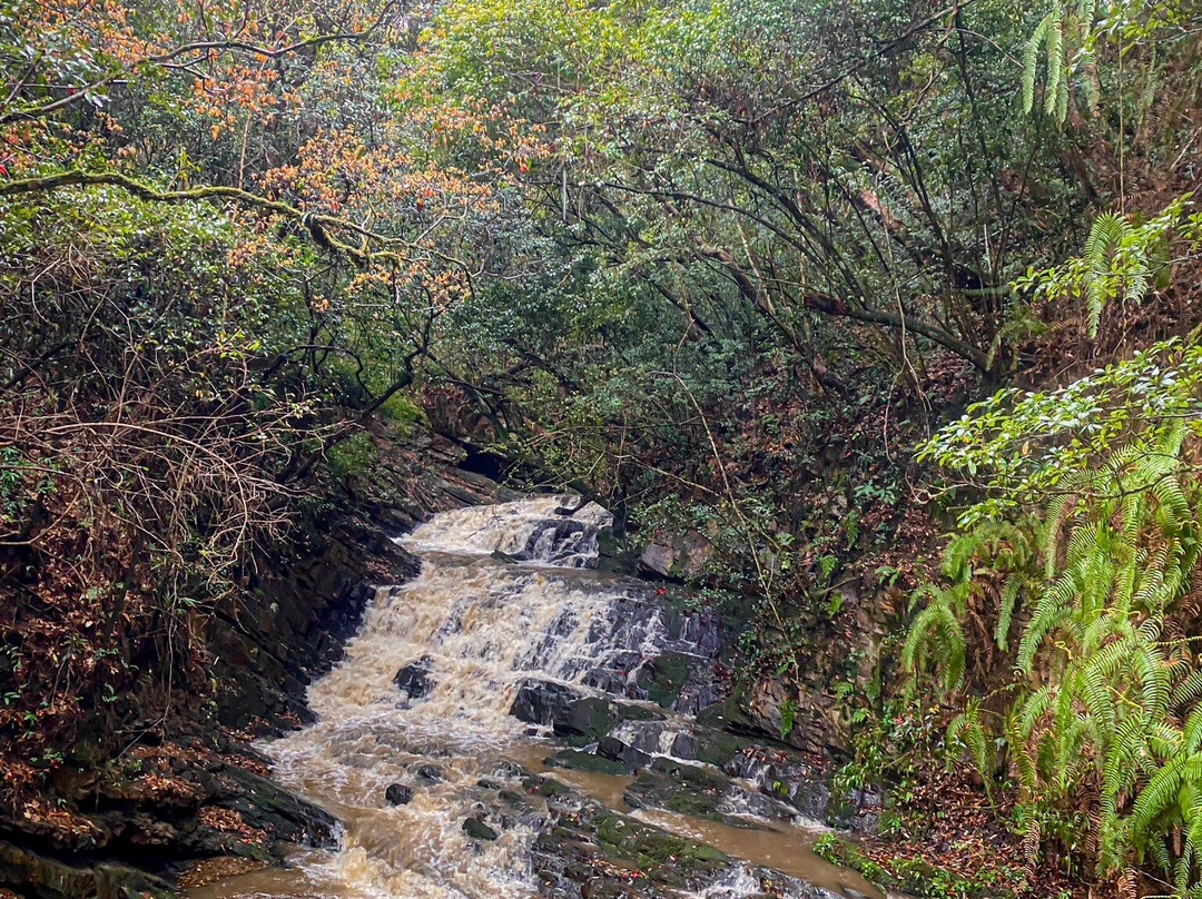 Elephant Falls-西隆必去景点