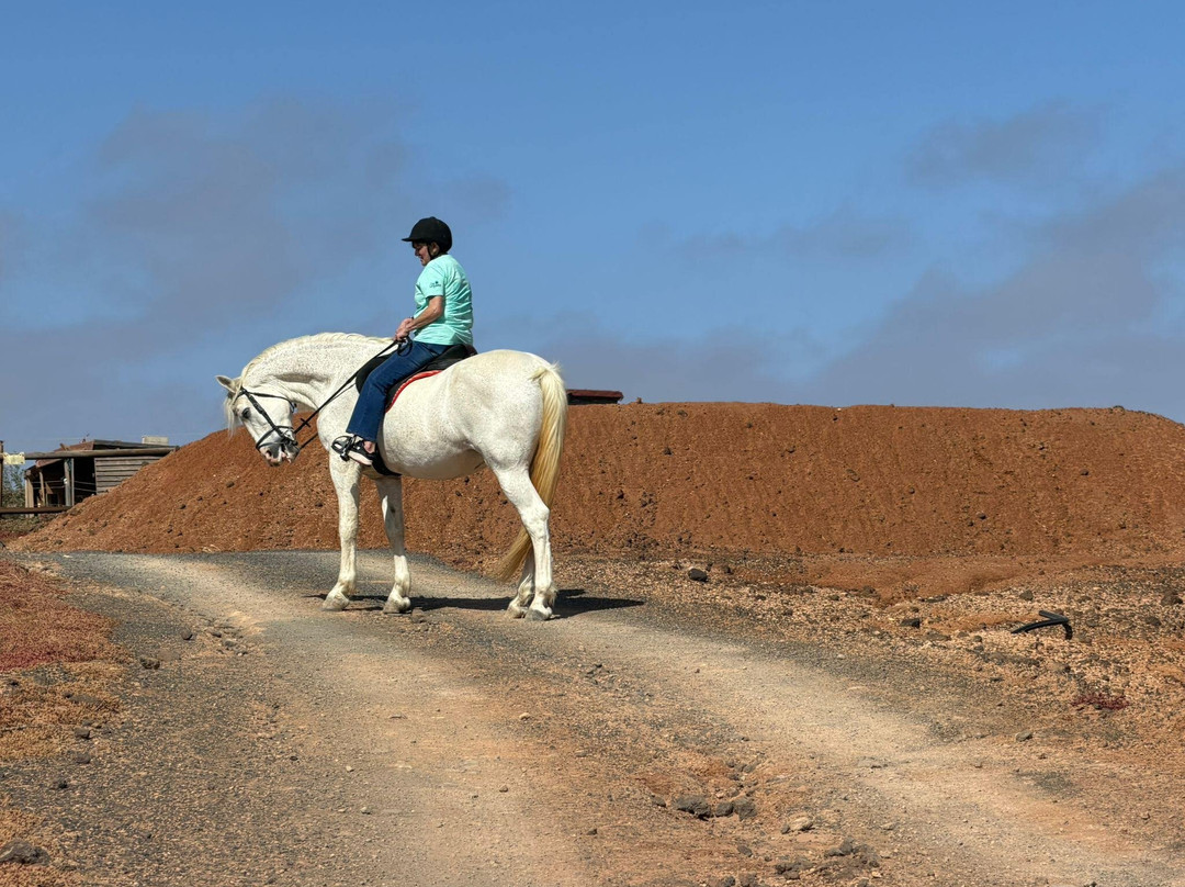 Horses Lanzarote-Teseguite必去景点
