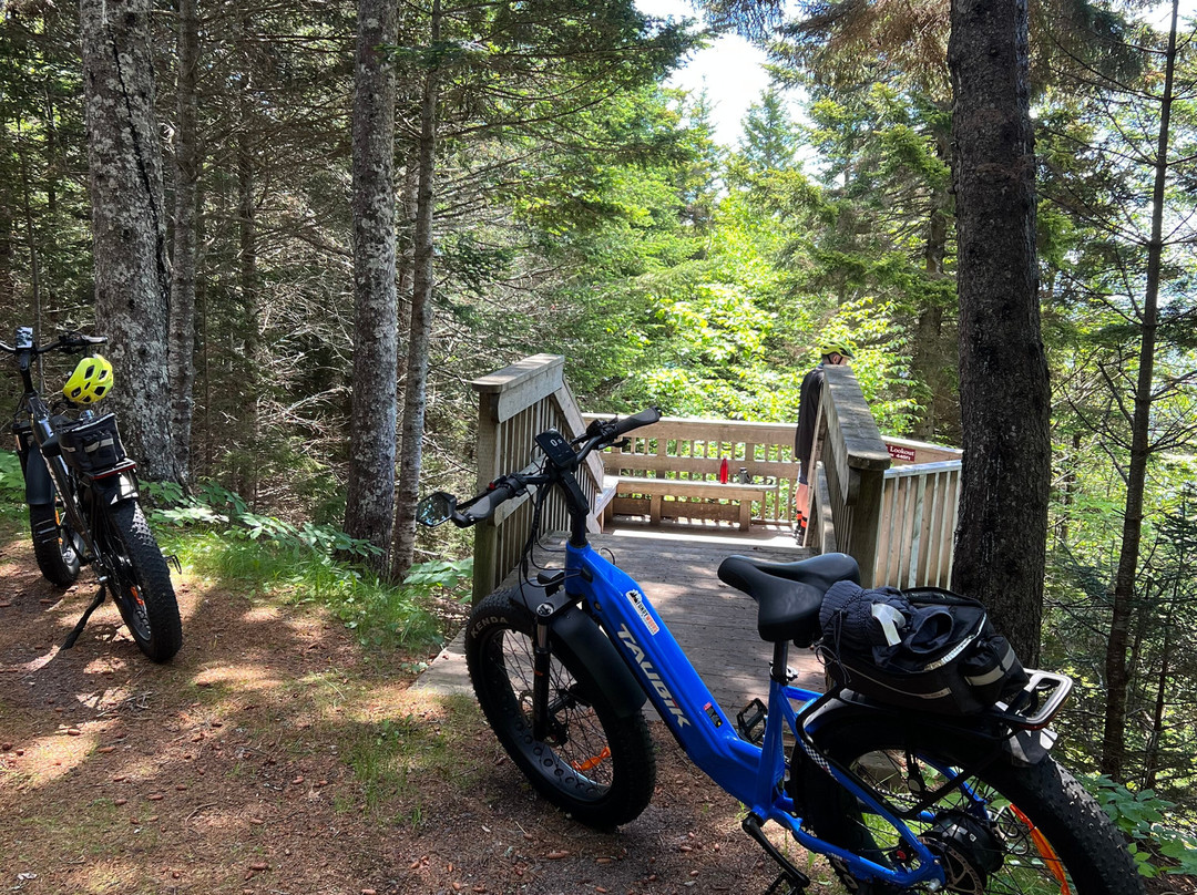 2nd Wind Cycle