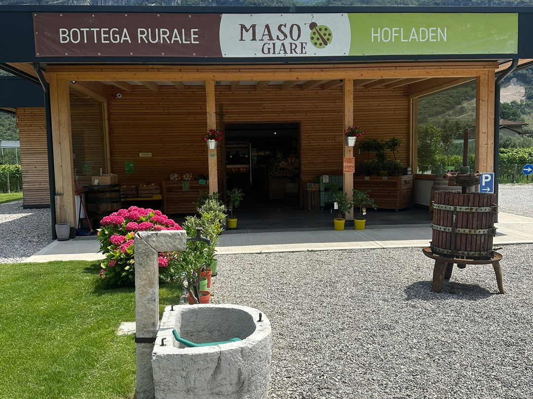 Azienda Agricola Maso Giare