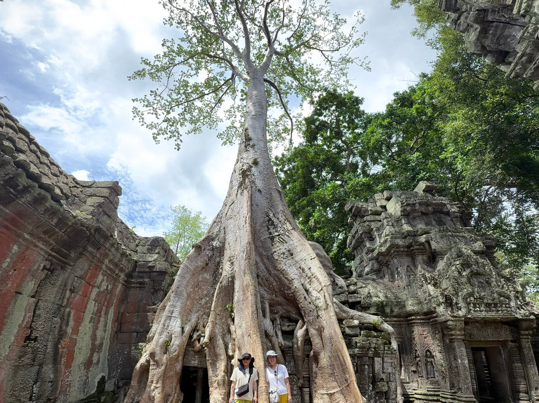 Angkor Wat Tuktuk Driver By Kakada-暹粒必去景点