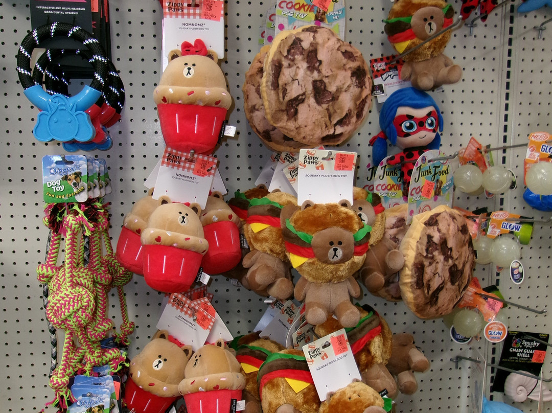 Ollie's Bargain Outlet-Sanford必去景点