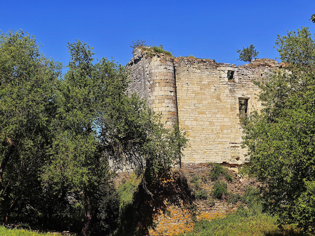 Château de Montfaucon-Jaunay-Marigny必去景点