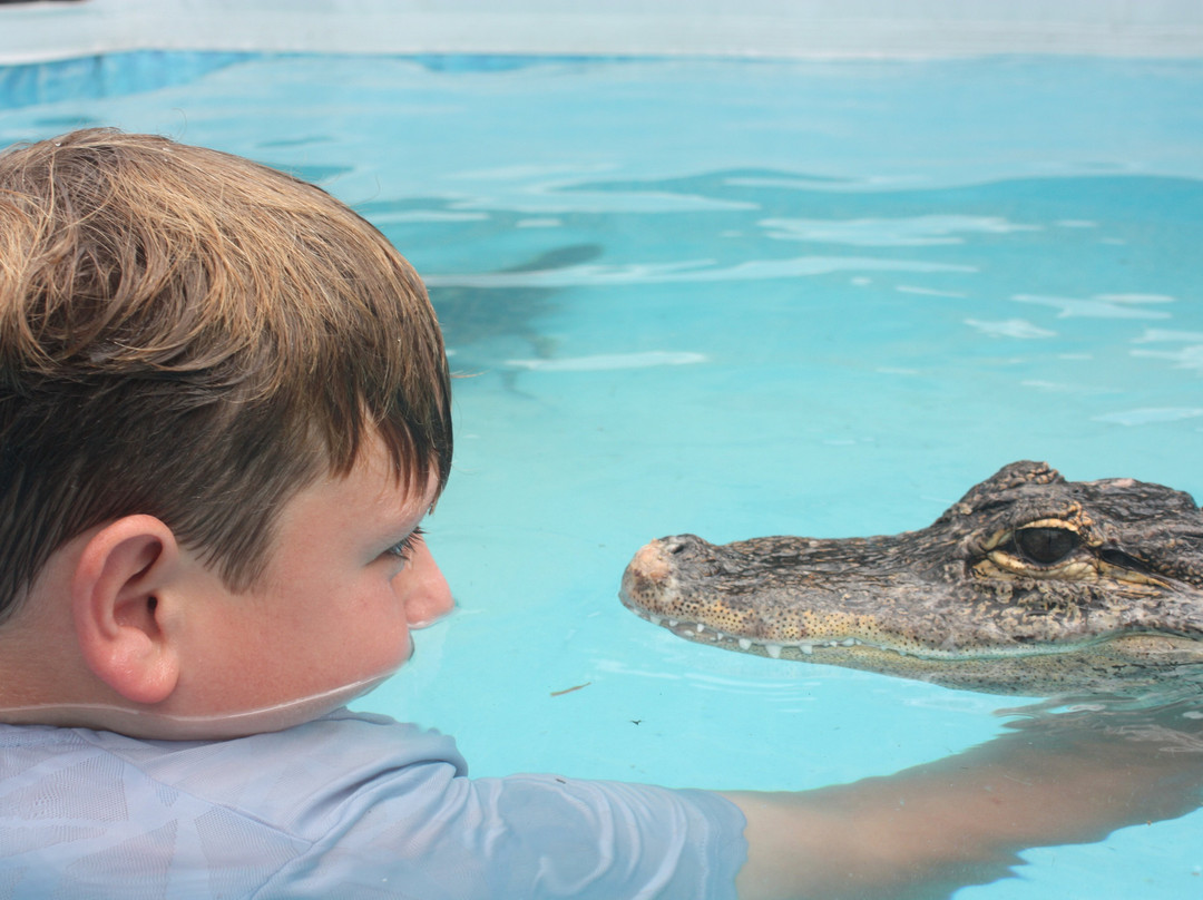 Crocs R Us-Filton必去景点
