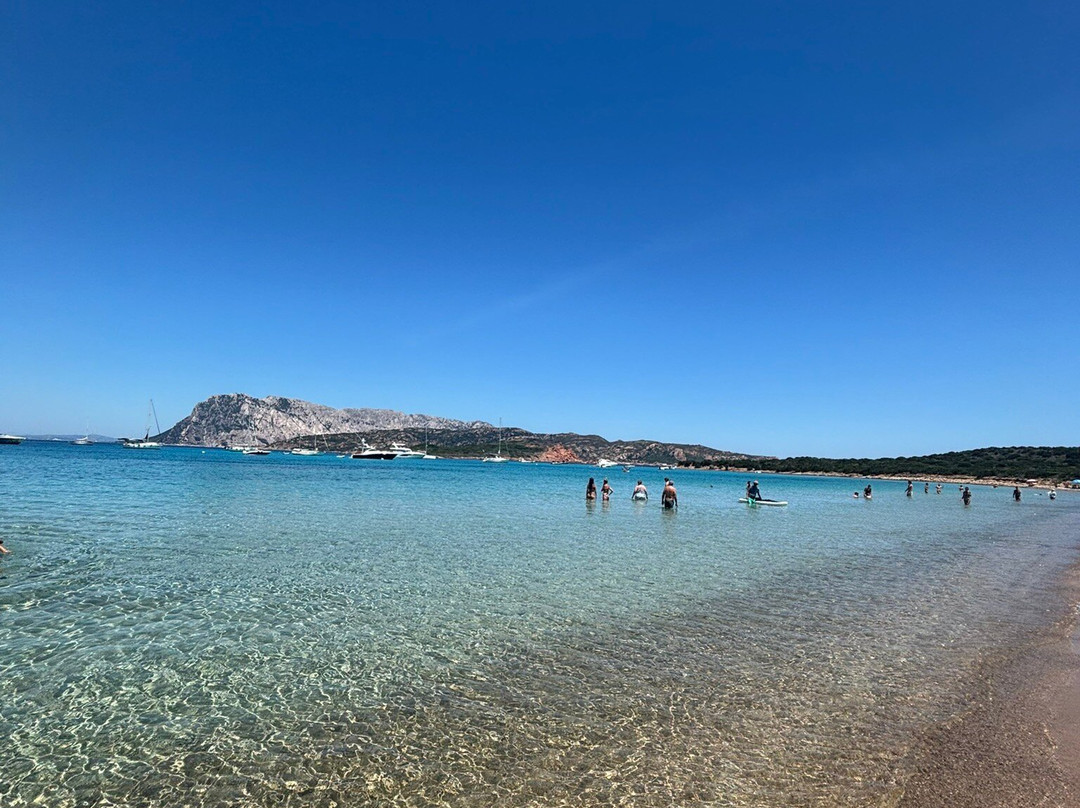 Spiaggia Capo Coda Cavallo-San Teodoro必去景点