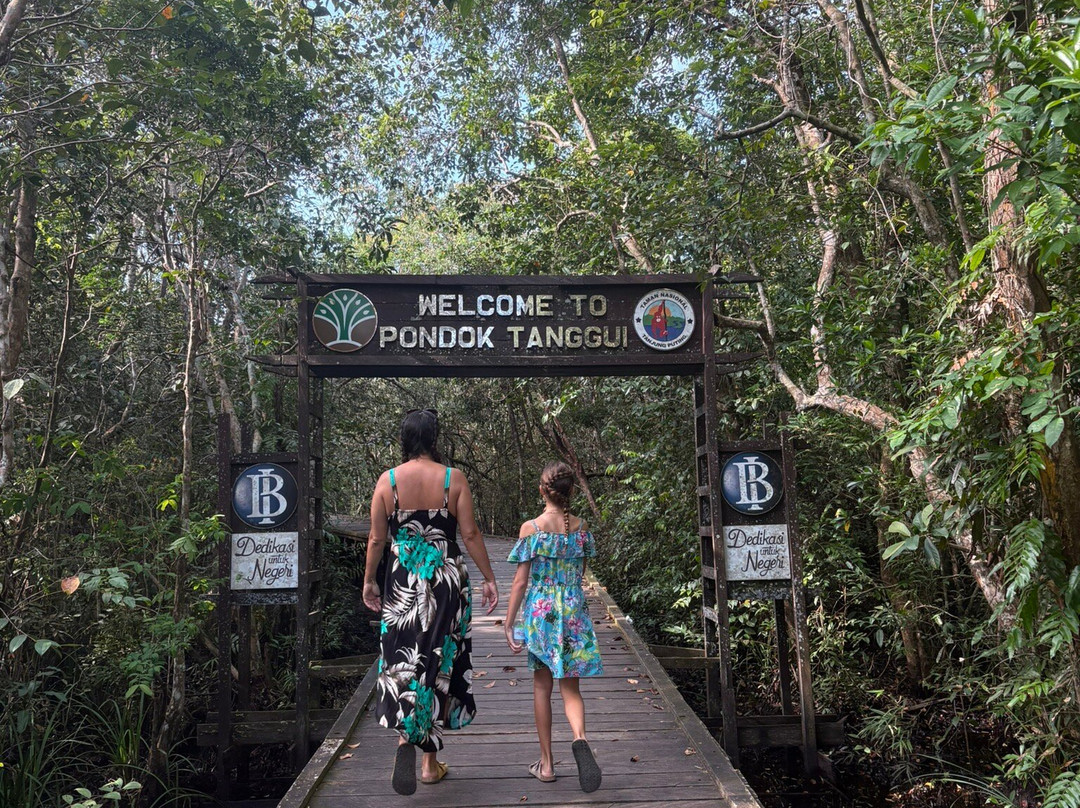 Tanjung Puting Borneo Tour-Pangkalan Bun必去景点