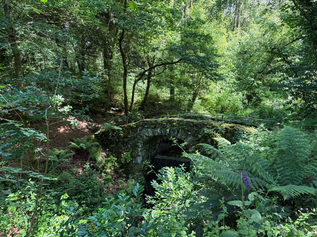 Parc Glynllifon-卡那封必去景点