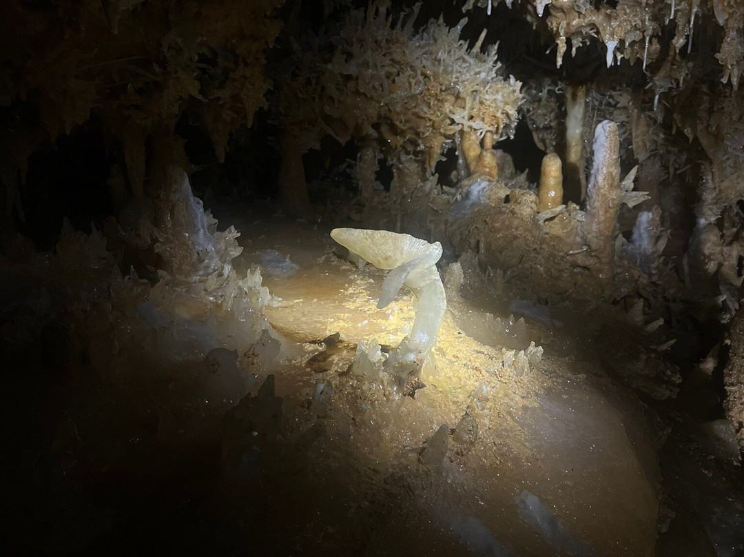 Grotte du Grand Roc-Les Eyzies-de-Tayac-Sireuil必去景点