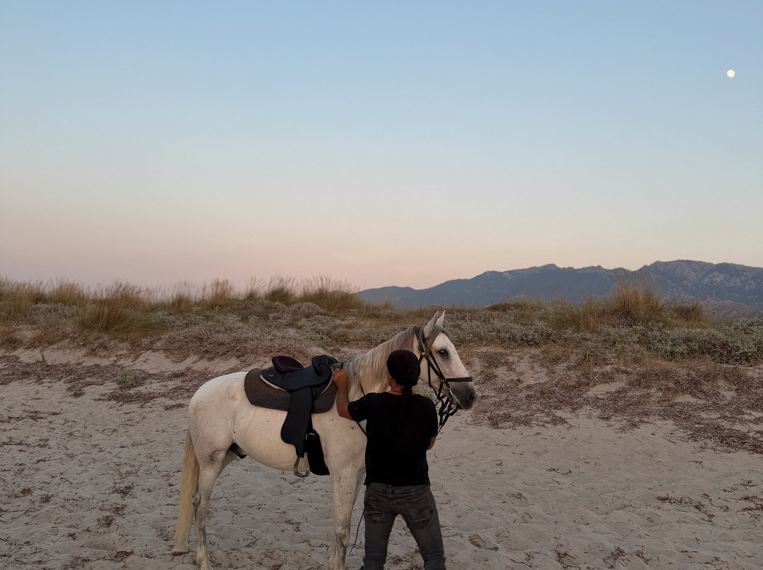 Erika's Horse Farm Kos-Marmari必去景点