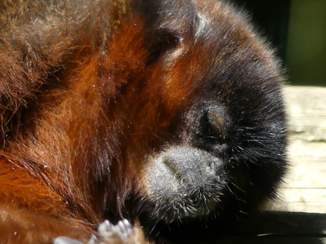 Shaldon Wildlife Trust-Shaldon必去景点