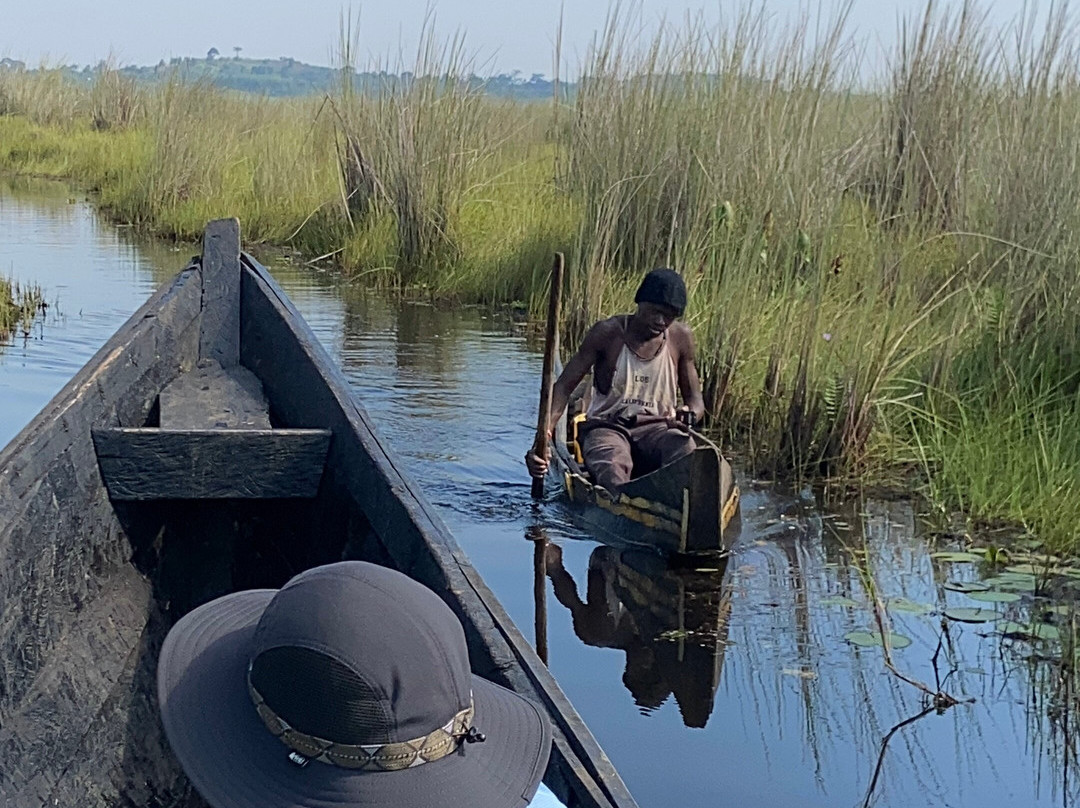Mabamba Shoebill and Botanical Birding-恩德培必去景点