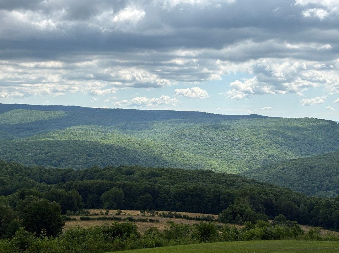 Kentuck Knob-Chalk Hill必去景点