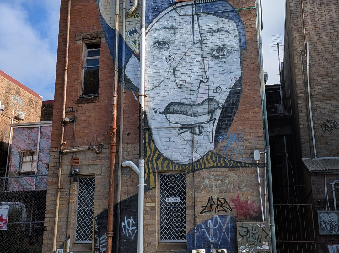 Street Art Walk - by Street Art Murals Australia-卡通巴必去景点