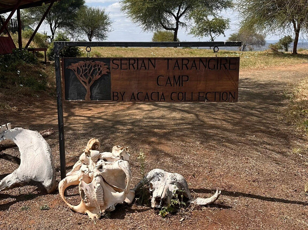 Serian Tarangire Camp