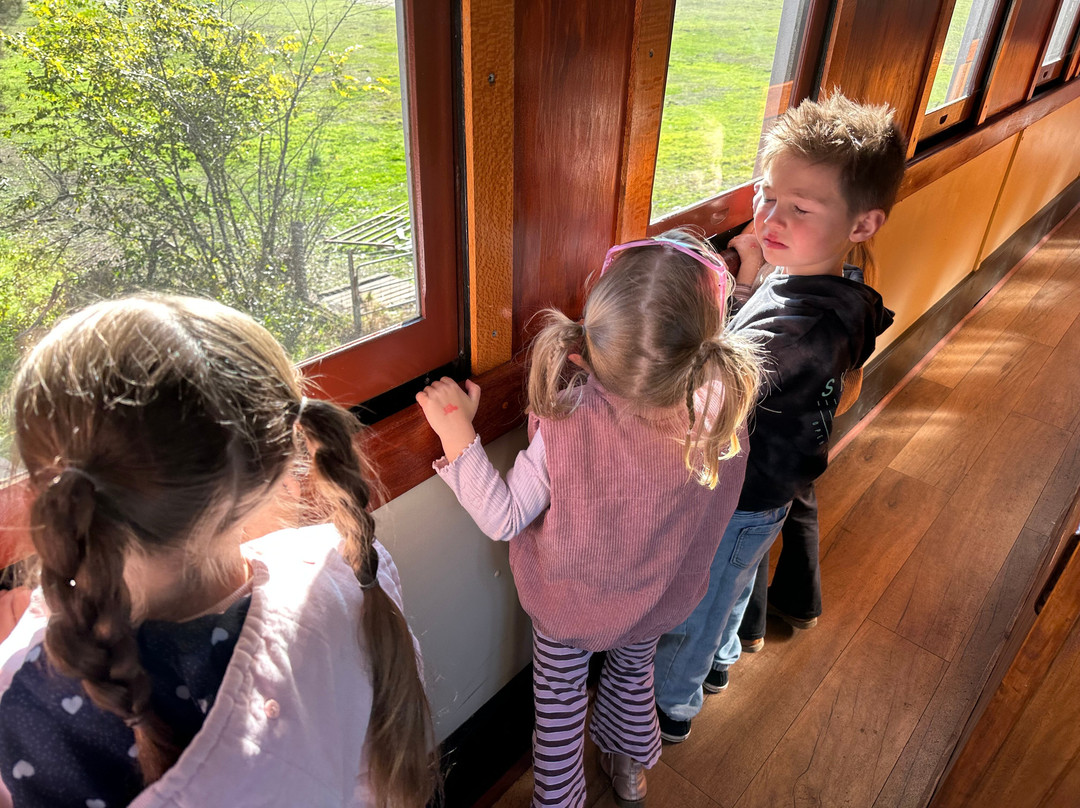 Southern Downs Steam Railway-Warwick必去景点