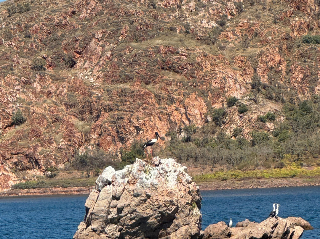 Lake Argyle Tours "Kimberley Durack"-库努纳拉必去景点