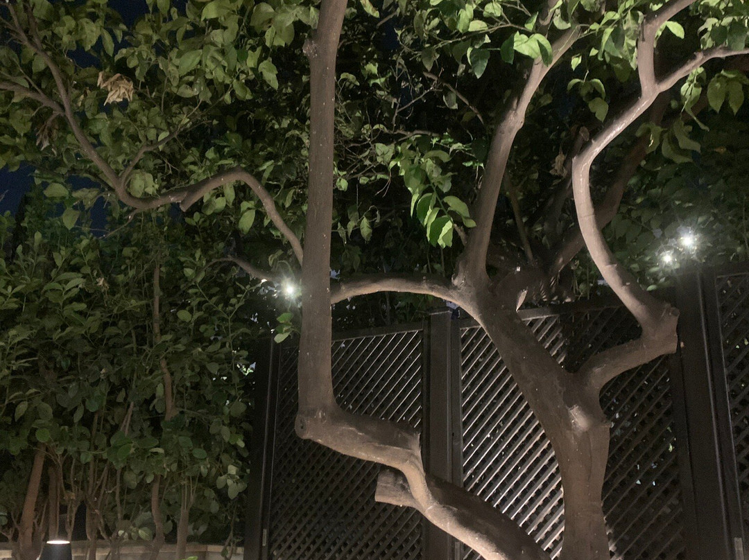 Pied à Terre Athens