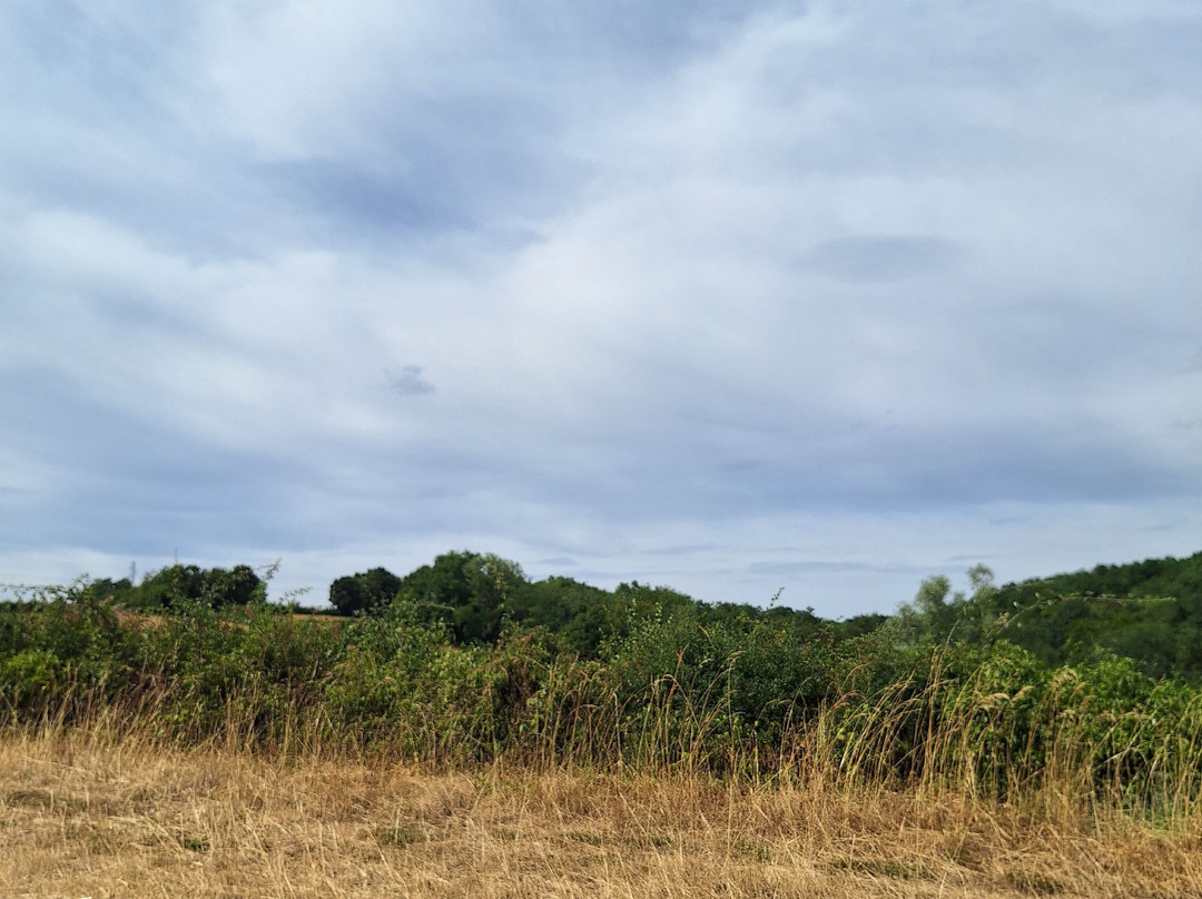 Domaine La Diligence