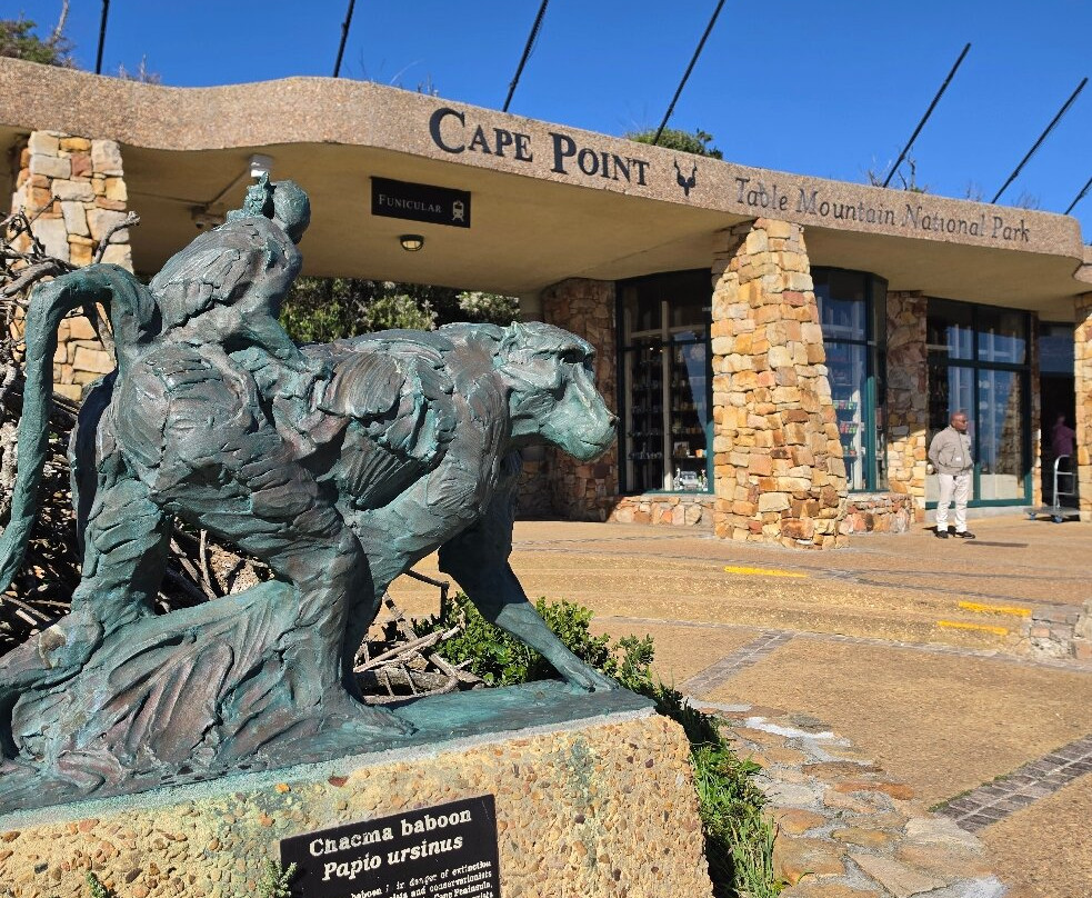 Cape of Good Hope-桌山国家公园必去景点