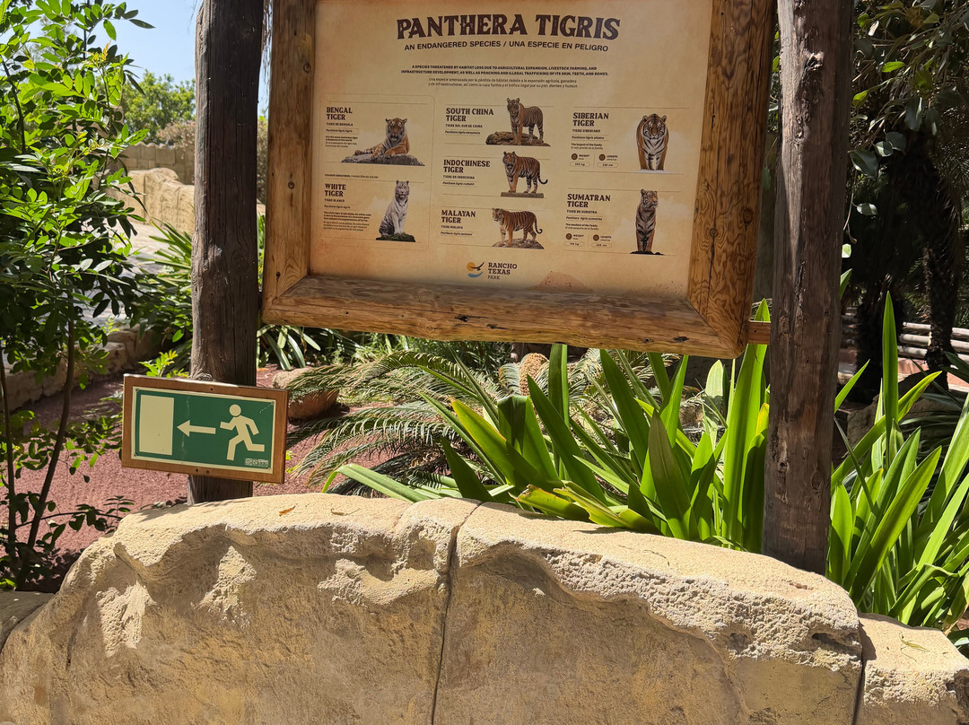 Rancho Texas Lanzarote Park-卡门港必去景点