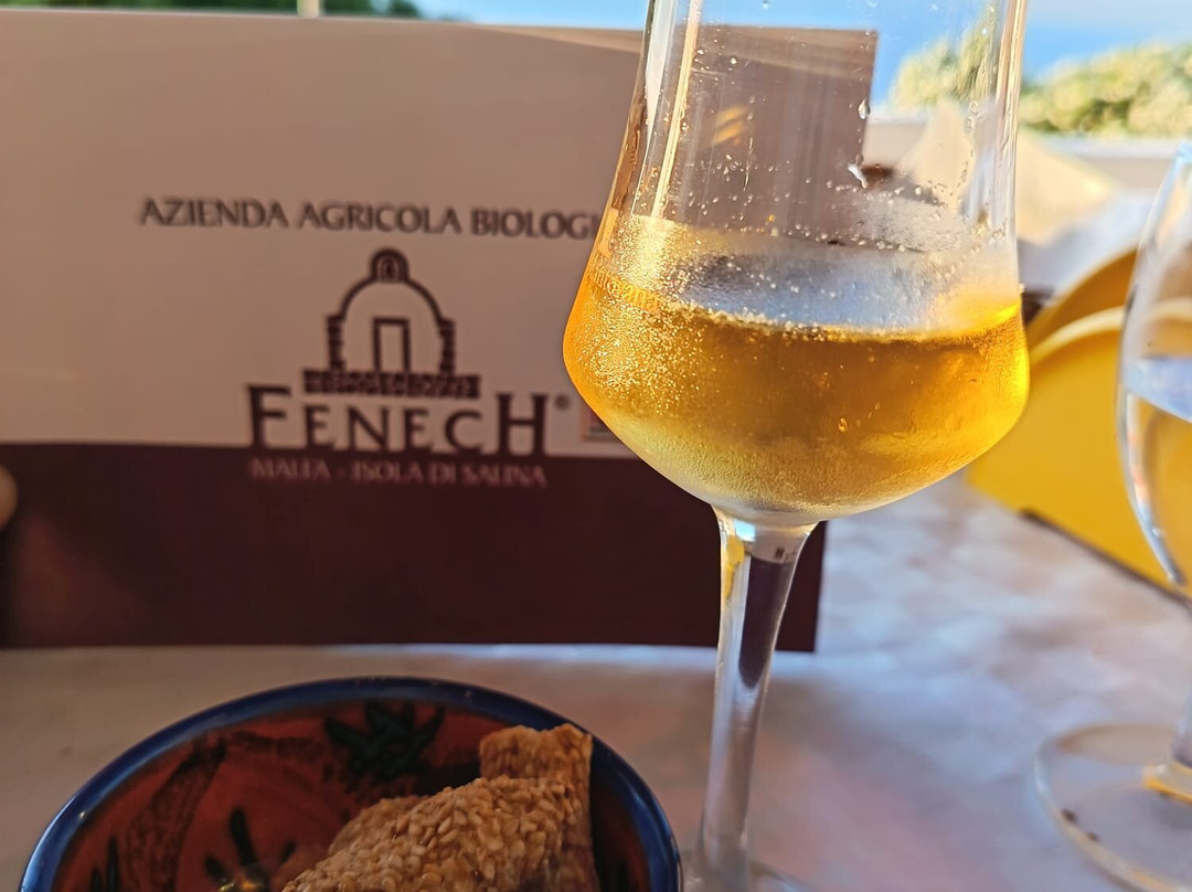 Fenech Azienda Agricola Biologica-Malfa必去景点