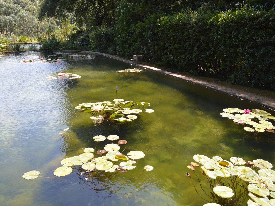 Abbotsbury Subtropical Gardens-Abbotsbury必去景点