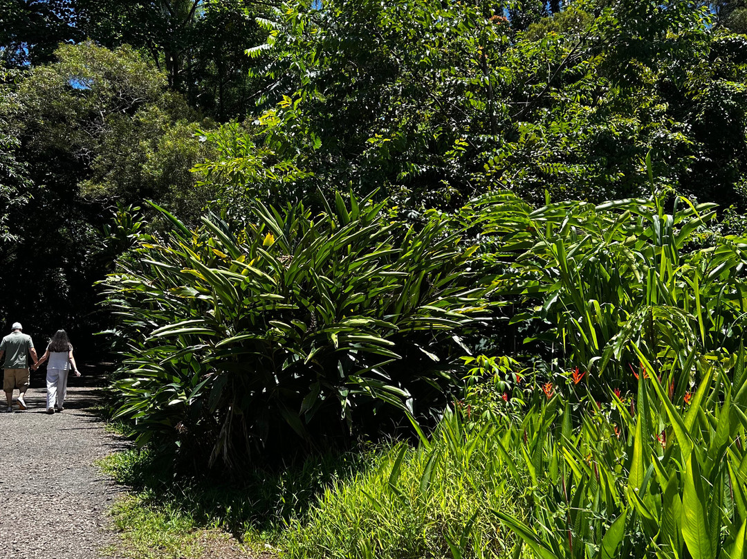 Twin Falls Maui-毛伊岛必去景点