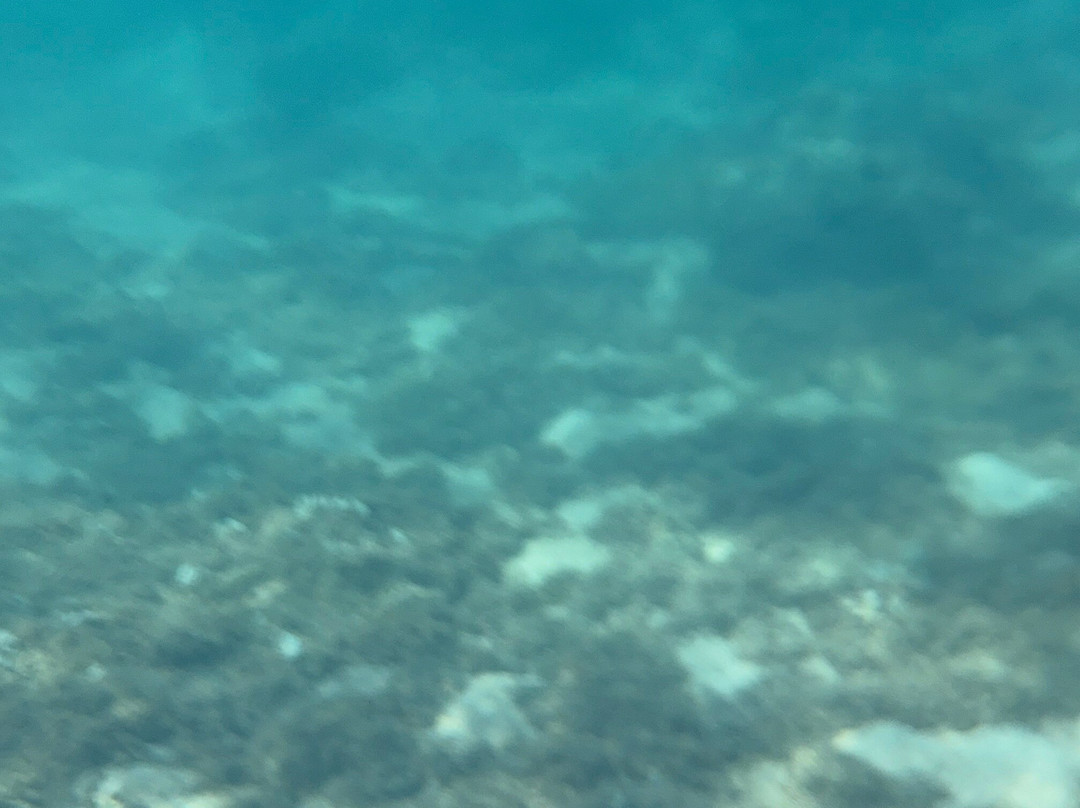 阿尼尼海滩-可爱岛必去景点