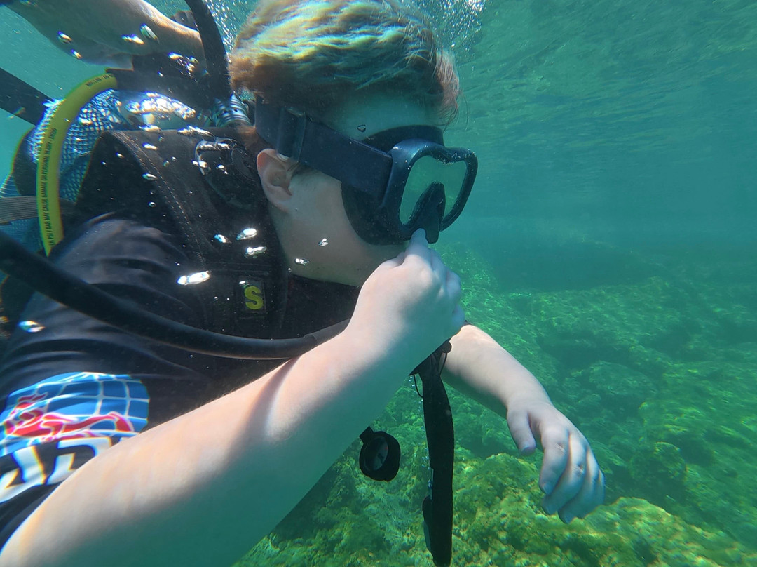DP Diving-Alsancak - Karavas必去景点