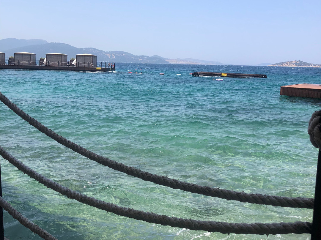 The OBA Hotel主图