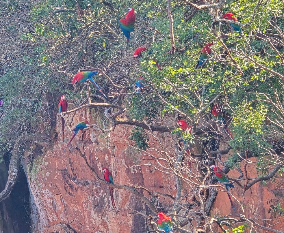 Buraco das Araras Ecoturismo-雅尔丁必去景点