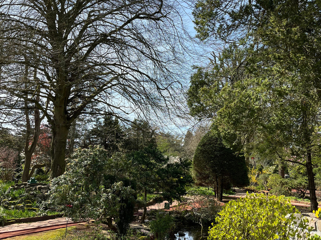 De Midgetgolftuinen Lage Vuursche-Lage-Vuursche必去景点