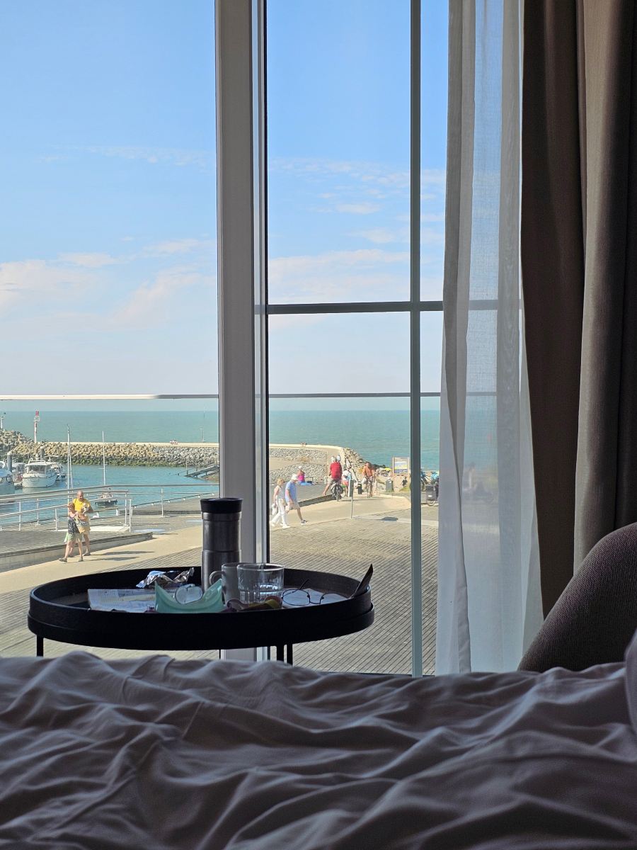 斯海尔德酒店-旅行者