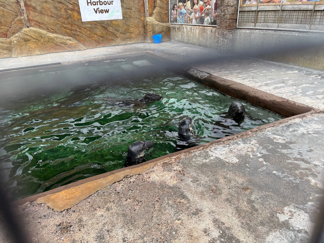Cornish Seal Sanctuary-Gweek必去景点