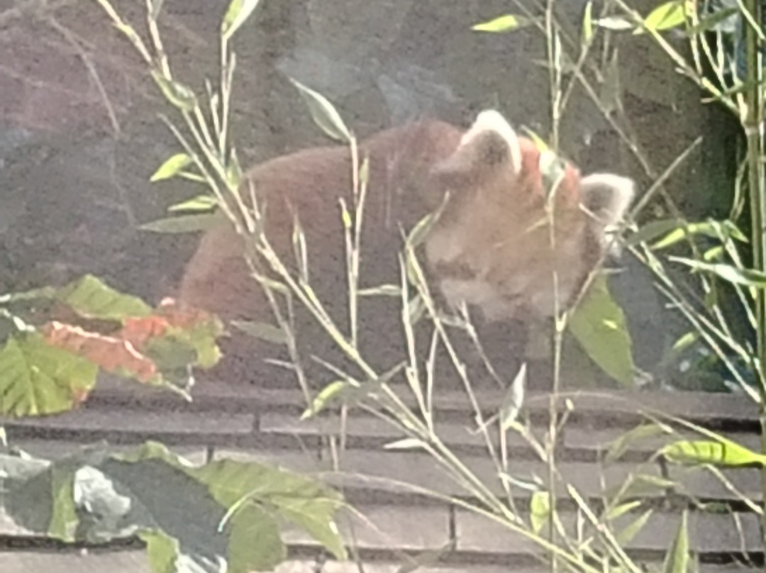 Safari Lodges At West Midlands Safari Park主图
