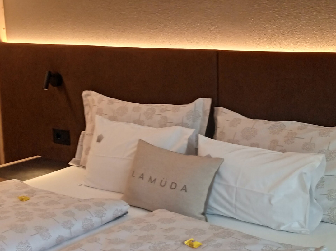 Hotel la Müda主图
