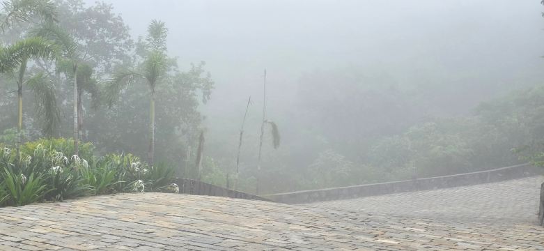 马华巴格度假村-旅行者