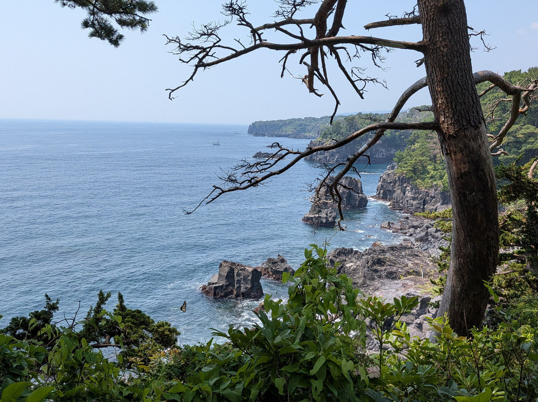 城崎海岸-伊东市必去景点